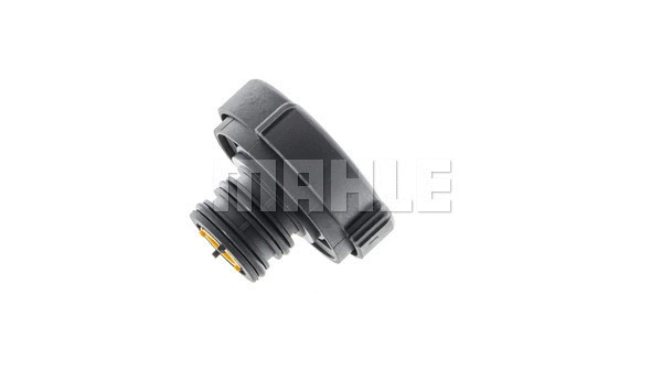 Cap, coolant tank