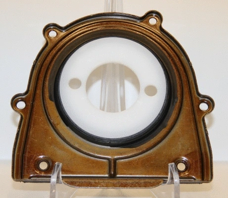 Shaft Seal, crankshaft (WG1226625)