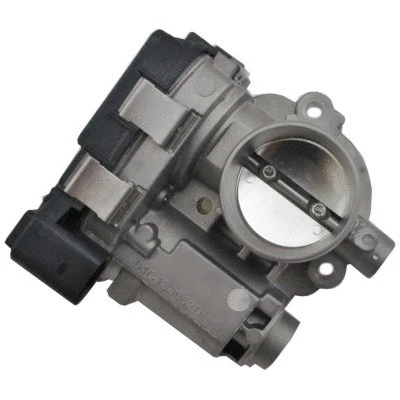 Throttle Body (WG1837548)