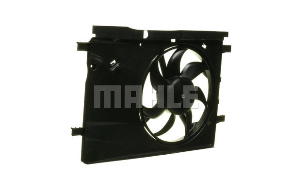 Fan, engine cooling