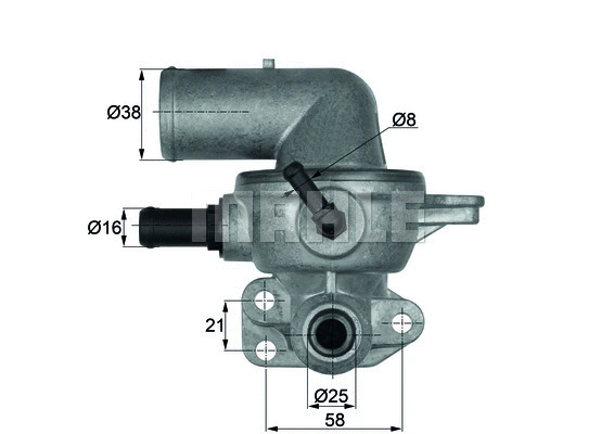 Thermostat, coolant (WG1104817)