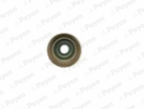 Seal Ring, valve stem (WG2171492)