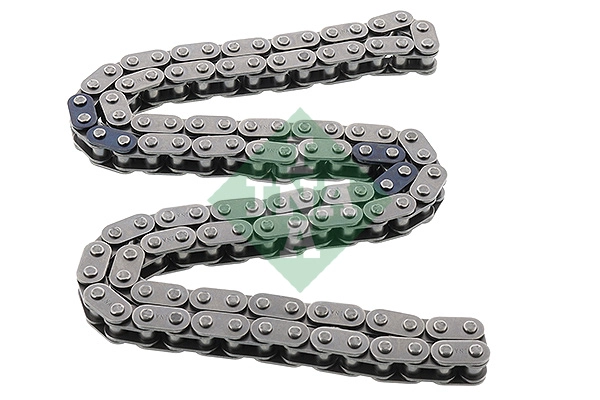 Timing Chain (WG2101417)