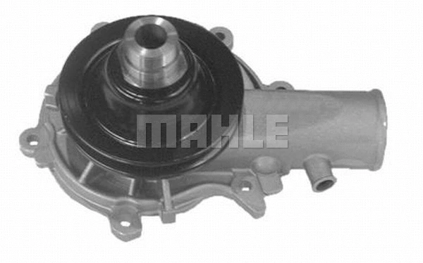 Water Pump, engine cooling (WG2181503)