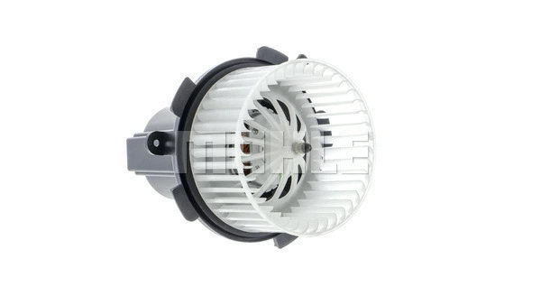 Interior Blower