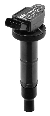 Ignition Coil (WG1487632)