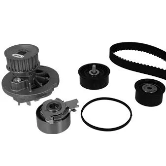 Water Pump & Timing Belt Kit (WG2261572)