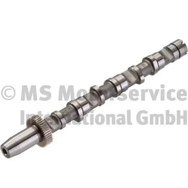 Camshaft (WG1196159)