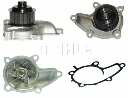Water Pump, engine cooling (WG2181632)