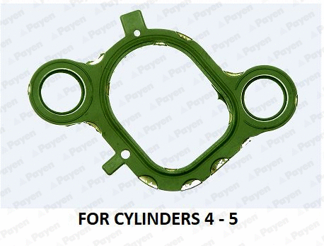 Gasket, intake manifold (WG1182050)