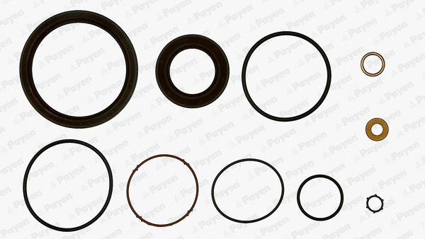 Gasket Kit, crankcase (WG1180040)