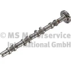 Camshaft (WG1924827)