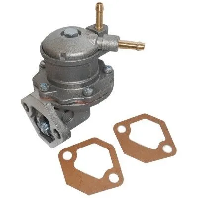 Fuel Pump (WG1750064)