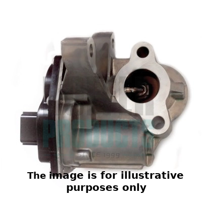 EGR Valve (WG1893401)