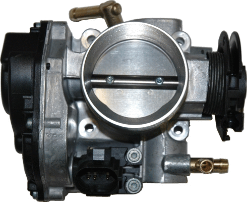 Throttle Body (WG1013497)