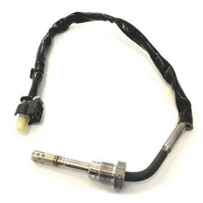Sensor, exhaust gas temperature (WG1015060)