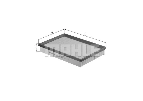 Air Filter (WG1215948)