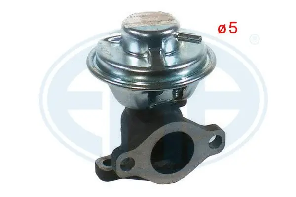 EGR Valve (WG1494564)