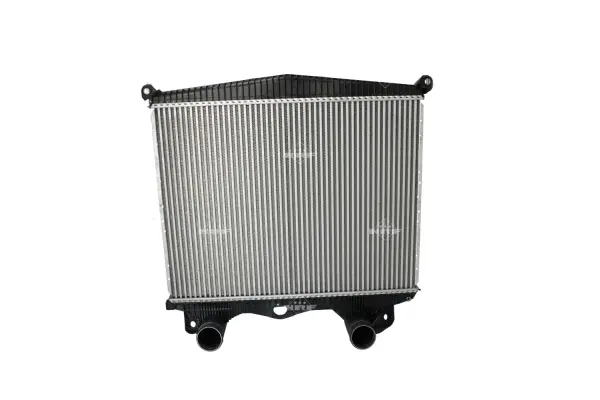 Charge Air Cooler (WG1723971)