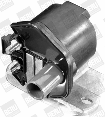 Ignition Coil (WG1487368)