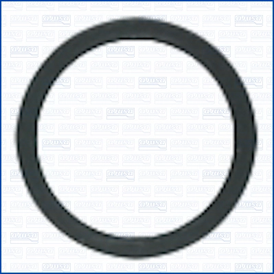 Seal Ring, injector (WG2079068)