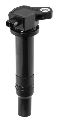 Ignition Coil (WG1487499)