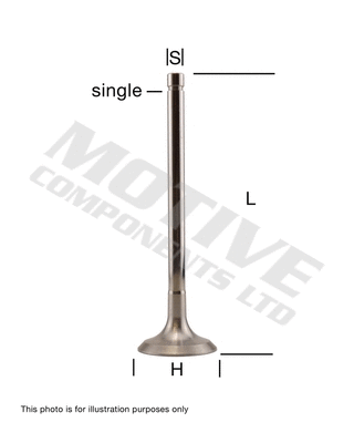 Exhaust Valve (WG1100201)