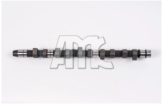 Camshaft (WG1011552)