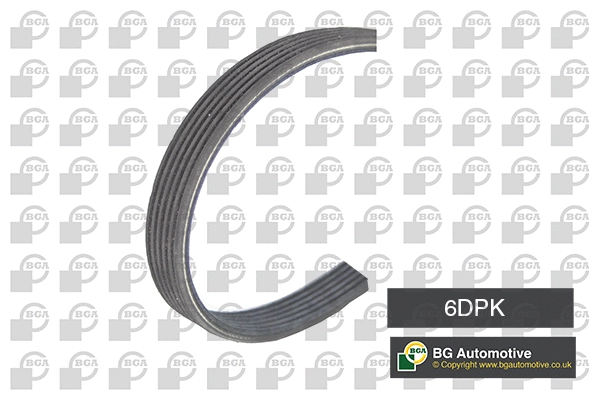 V-Ribbed Belt (WG1907017)