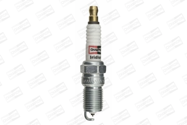 Spark Plug (WG2009653)