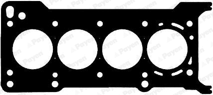 Gasket, cylinder head (WG1177793)