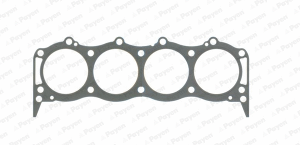 Gasket, cylinder head (WG1090200)