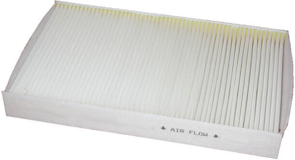 Filter, cabin air (WG1747003)