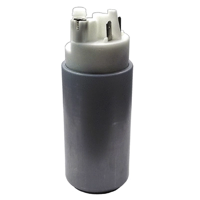 Fuel Pump (WG1012679)