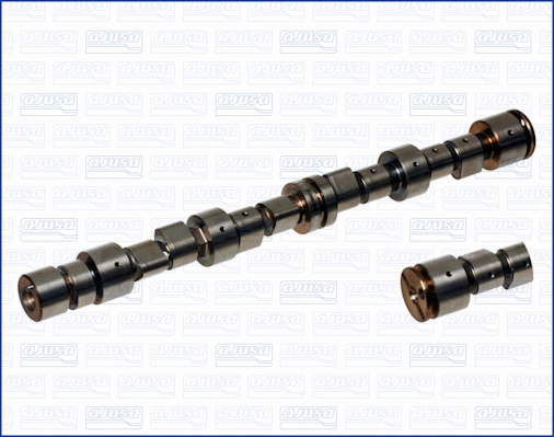 Camshaft (WG1456151)