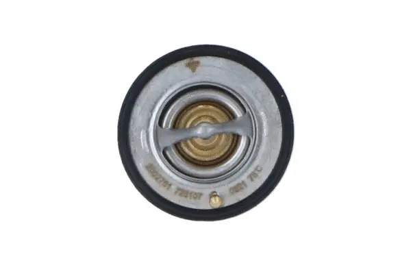 Thermostat, coolant (WG2184727)