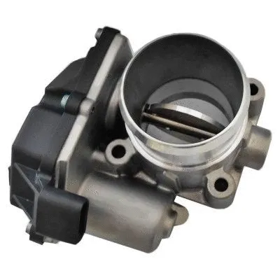 Throttle Body (WG1796380)