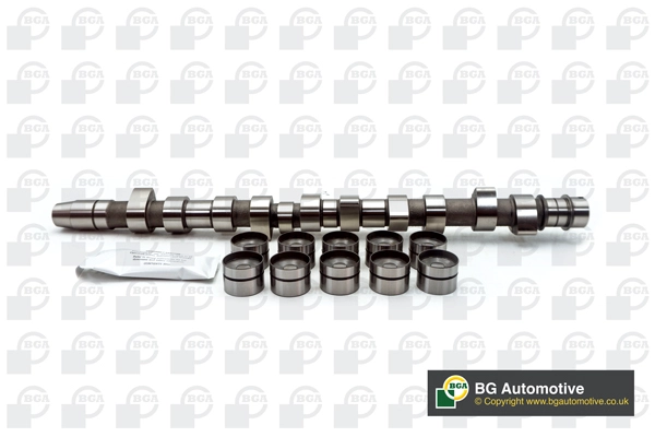 Camshaft Kit (WG1490473)