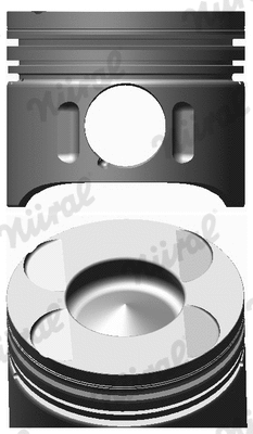 Piston (WG1094043)