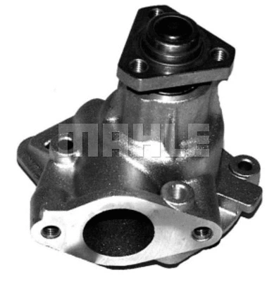 Water Pump, engine cooling (WG2181619)