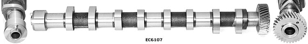 Camshaft (WG1051567)