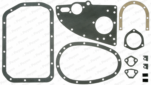 Gasket Kit, crankcase (WG1180000)