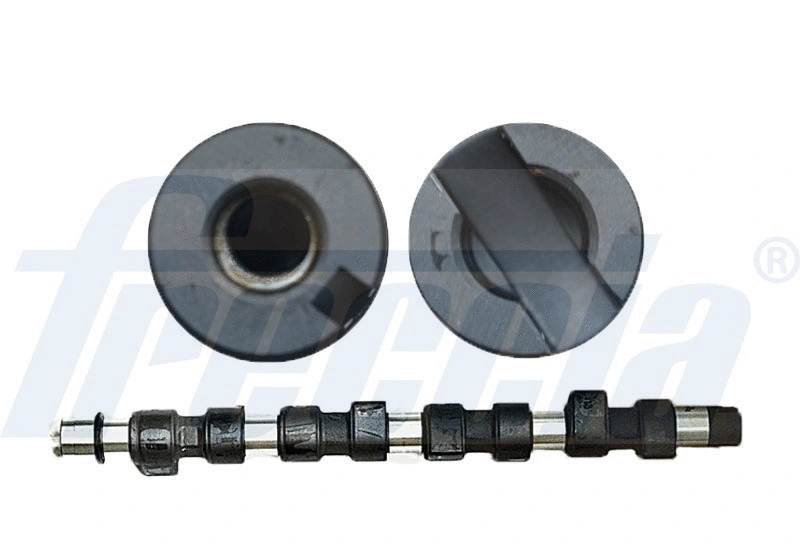 Camshaft (WG1155331)