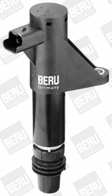 Ignition Coil (WG1487405)