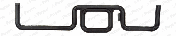 Gasket, timing case (WG1182836)