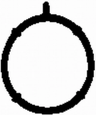 Gasket, intake manifold (WG1768917)