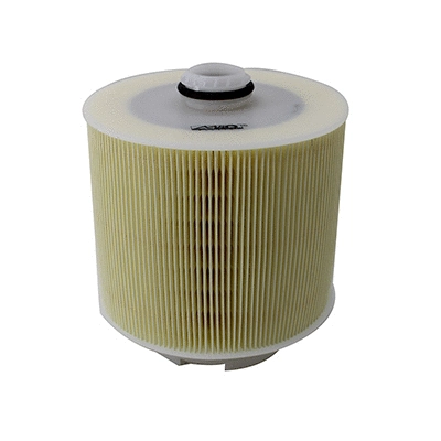 Air Filter (WG2152197)