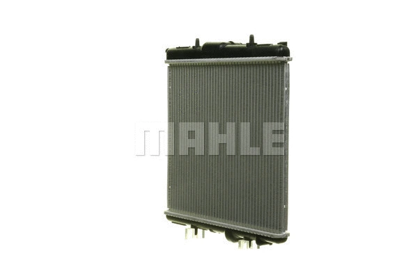 Radiator, engine cooling (WG2183715)