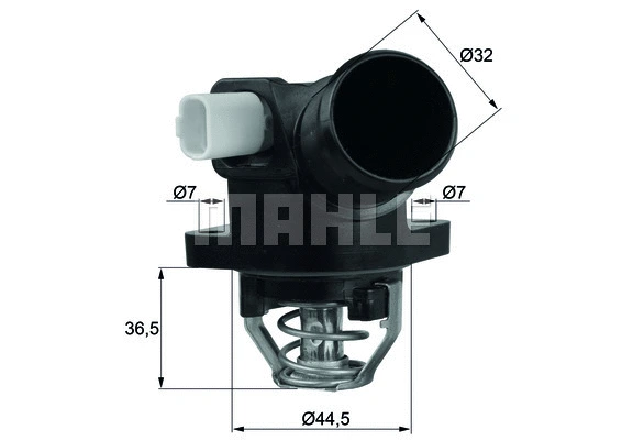 Thermostat, coolant (WG1217769)