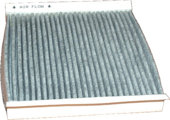 Filter, cabin air (WG1747011)